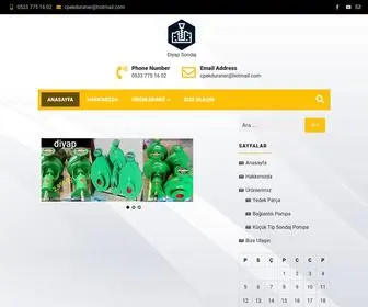 Diyapsondaj.com(Diyap Sondaj) Screenshot