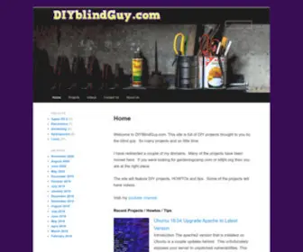 Diyblindguy.com(DIYblindGuy) Screenshot