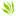 Diyetmax.com Favicon