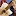Djangoinjune.com Favicon