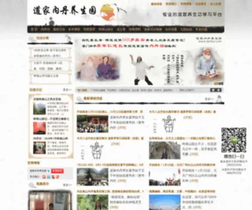 DJNDYS.com(道家养生) Screenshot