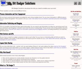 DJS-Consulting.com(Bit Badger Solutions) Screenshot