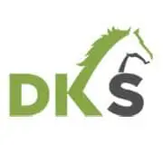 DKStroelse.com Favicon