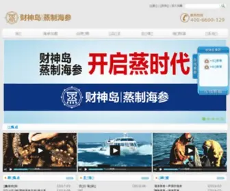 DLCSD.com(大连财神岛集团有限公司) Screenshot
