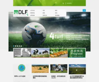 DLF.com.cn(丹农（DLF）) Screenshot