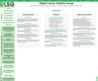DLSG.com(Digital Library Systems Group) Screenshot