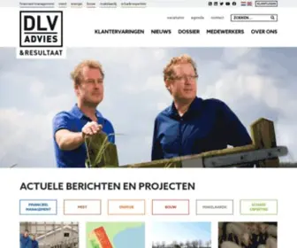 Dlvadvies.nl(DLV Advies) Screenshot