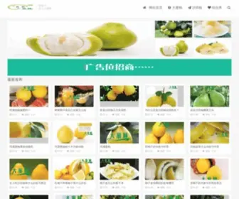 Dmiyou.com(大蜜柚) Screenshot