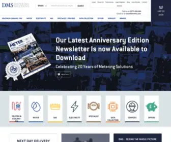 DMSLTD.com(Metering & Control Equipment and Services) Screenshot