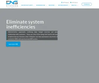 DNGSYstems.com(DNG Systems) Screenshot