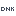 DNK.ru Logo
