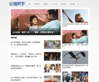 DNNspeak.com(知天下) Screenshot