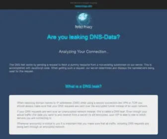 DNS-Leak.com(DNS-Leak Test) Screenshot