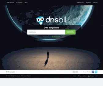 DNsbil.com(Dns a kayıtları) Screenshot