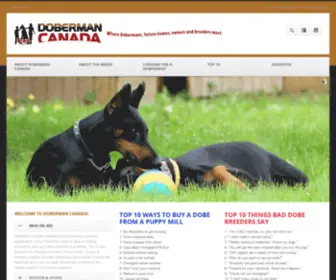 Dobermancanada.com(Doberman Canada) Screenshot