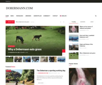 Dobermann.com(Sport und Zucht) Screenshot