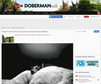 Dobermantalk.com(Doberman Forum) Screenshot