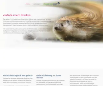 Documenteam.de(Druckerei und Print) Screenshot