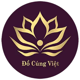 DocungViet.com.vn Favicon