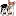 Dog-Club.org Favicon