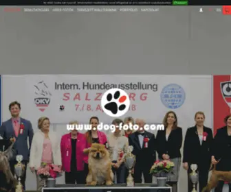 Dog-Foto.com(Professzionális kiállítási kutyafotózás) Screenshot