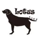 Dog-Lotus.jp Favicon