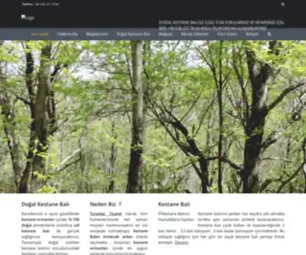 Dogalkestanebali.net(KESTANE BALI) Screenshot