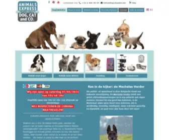 Dogcatandco.be(Pups & kittens te koop) Screenshot
