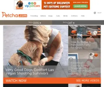 Dogchannel.com(Dogs) Screenshot