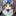 Dogcraft.top Favicon