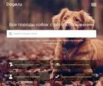 Doge.ru Screenshot
