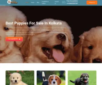 Dogforsalekolkata.in(Dogs For Sale in Kolkata) Screenshot