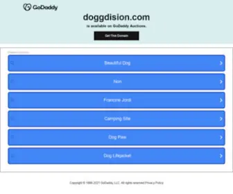 Doggdision.com(域名是企业重要的资产) Screenshot