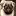 Dogissimo.jp Favicon