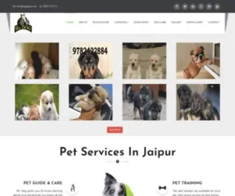 Dogjaipur.com(Mr Dog Online pet Shop & Dog Hostel Jaipur) Screenshot