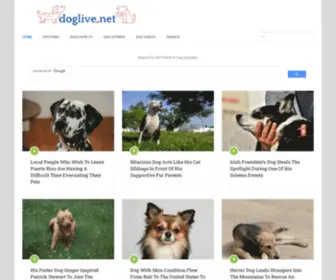 Doglive.net(Dog Live) Screenshot