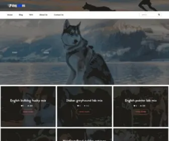 Dogmixes.com(Dog mixes) Screenshot