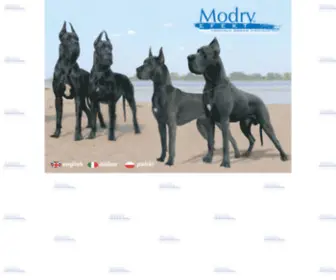 Dogmodryefekt.pl(Modry Efekt) Screenshot