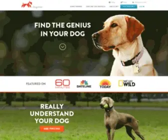 Dognition.com(Find the Genius in Your Dog) Screenshot