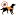 Dognotgone.com Favicon