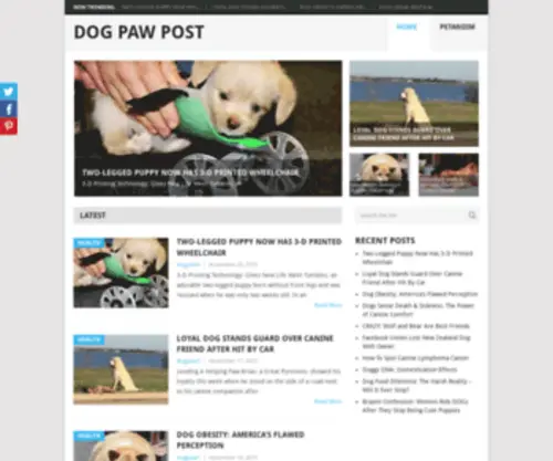 Dogpawpost.com(Dog Paw Post) Screenshot