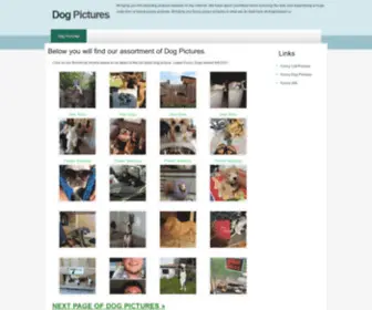 Dogpictures.co(Dog Pictures) Screenshot