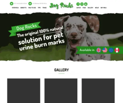 Dogrocks.com(Dog Rocks) Screenshot