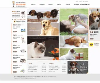 Dogs.co.kr(윤신근) Screenshot