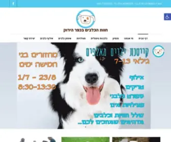 Dogs4ALL.co.il(דף בית) Screenshot