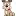 Dogs4ALL.nl Favicon