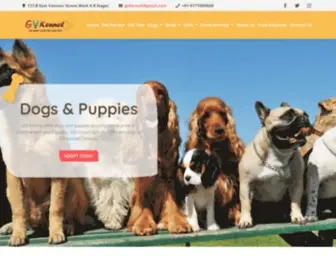 Dogsaleinchennai.com(Dog Sale In Chennai) Screenshot