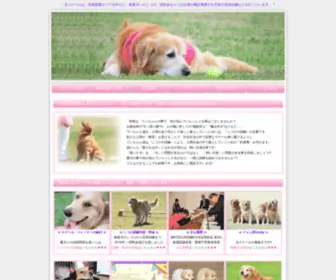 Dogschool-Landj.com(Dogschool Landj) Screenshot