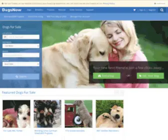 Dogsnow.com(Puppies and dogs for sale and adoption) Screenshot