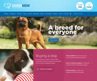 Dogsnsw.org.au(DOGS NSW) Screenshot